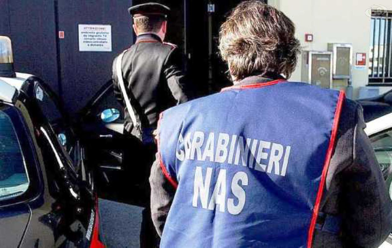nas nas