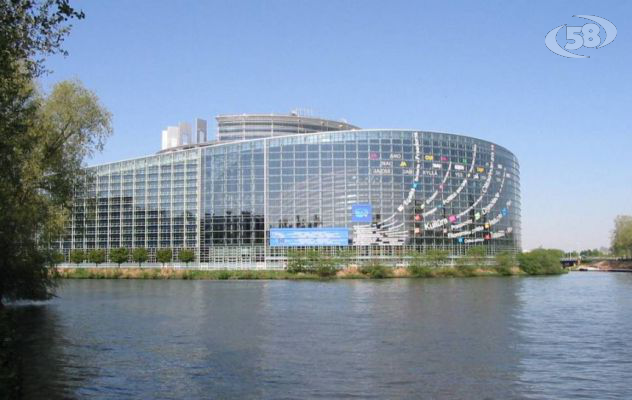 Elezione dei membri del Parlamento europeo, dove presentare le liste 