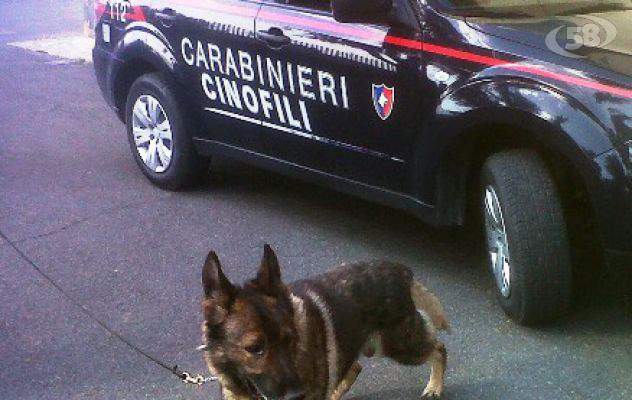 Droga, i Carabinieri segnalano tre giovani irpini