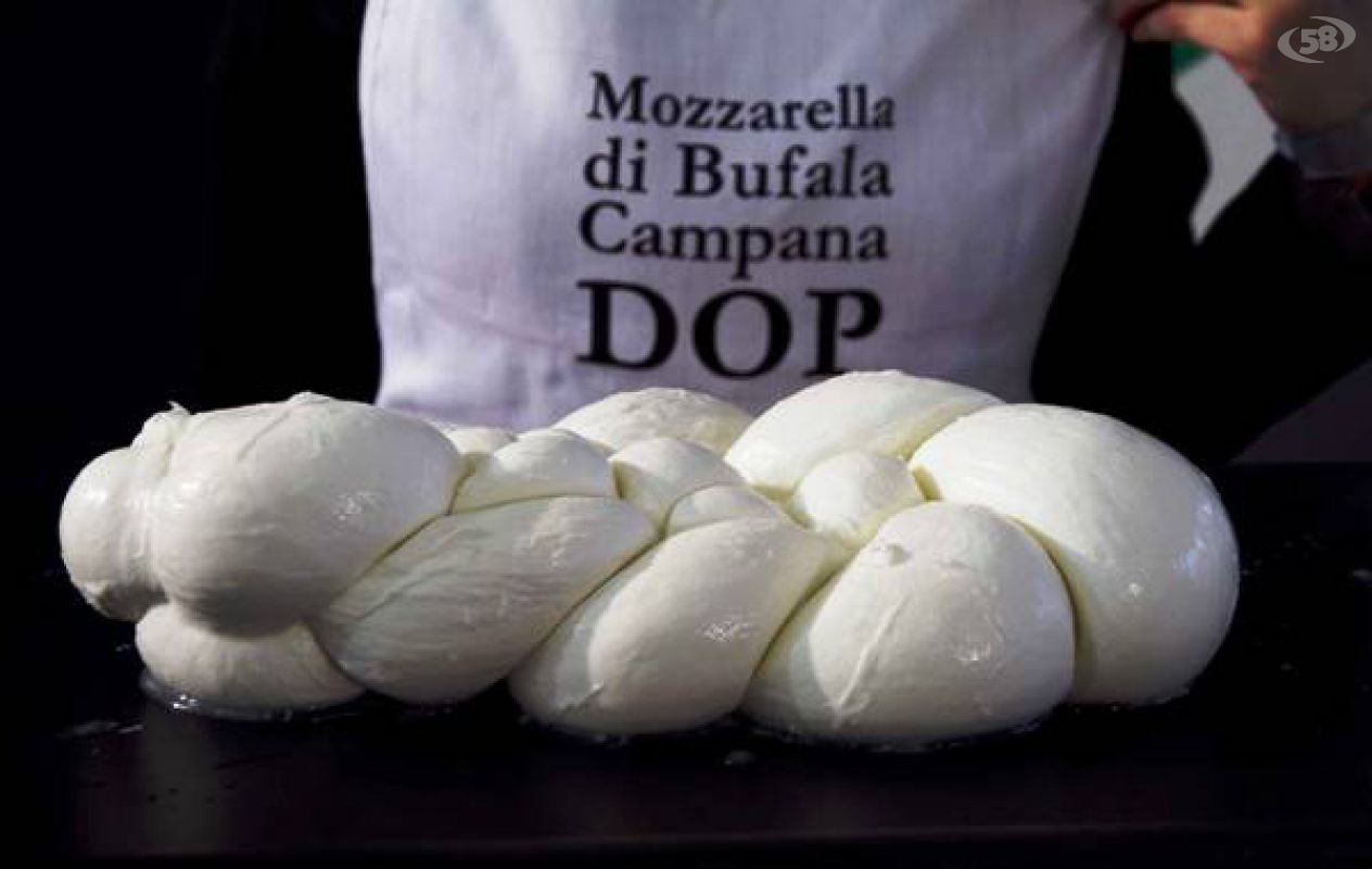 mozzarella bufala mozzarella bufala