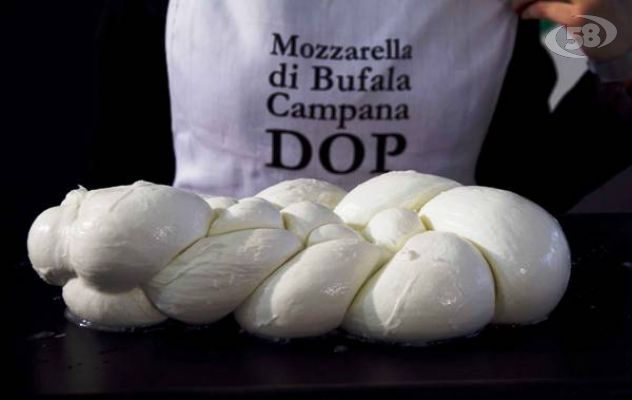 DOP la mozzarella pugliese, la Campania protesta