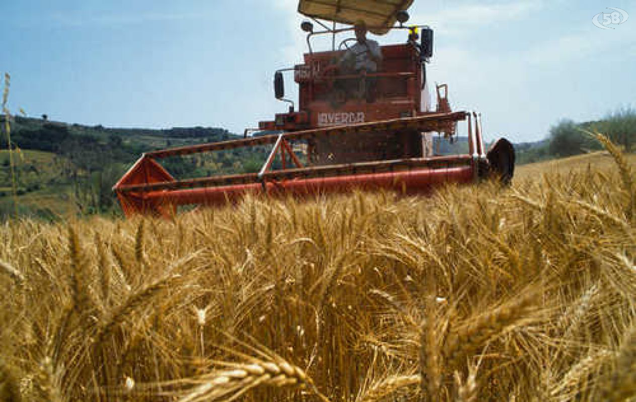 agricoltura agricoltura
