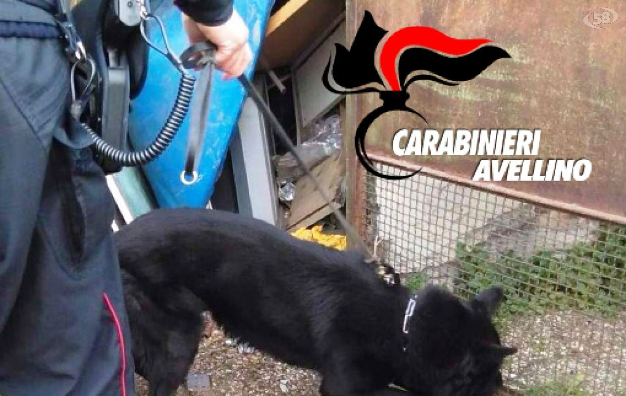 carabinieri carabinieri