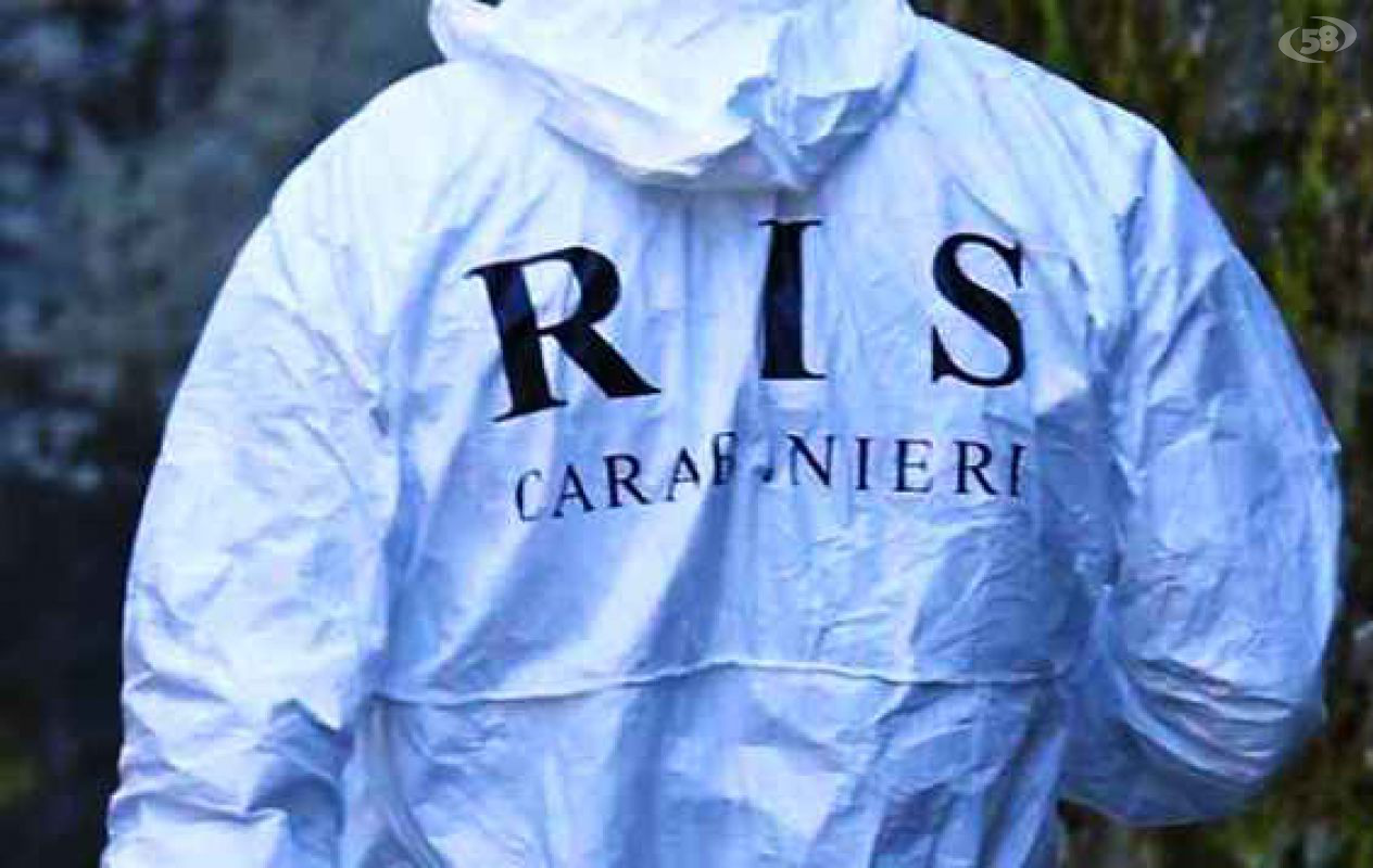 ris ris