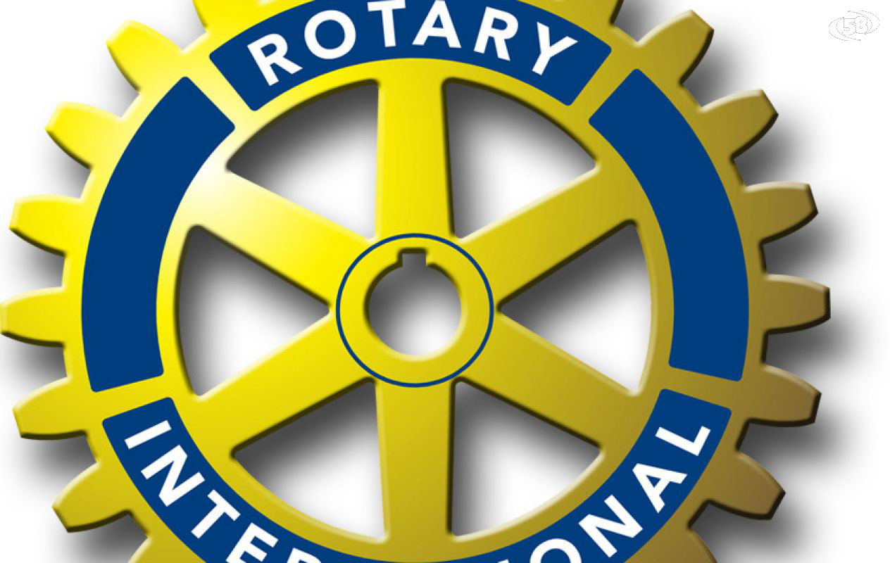 rotary rotary