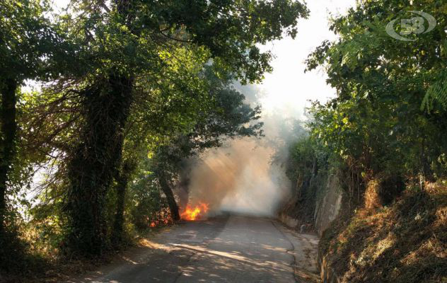 Fiamme anche ad Ariano: incendio in via Cesine