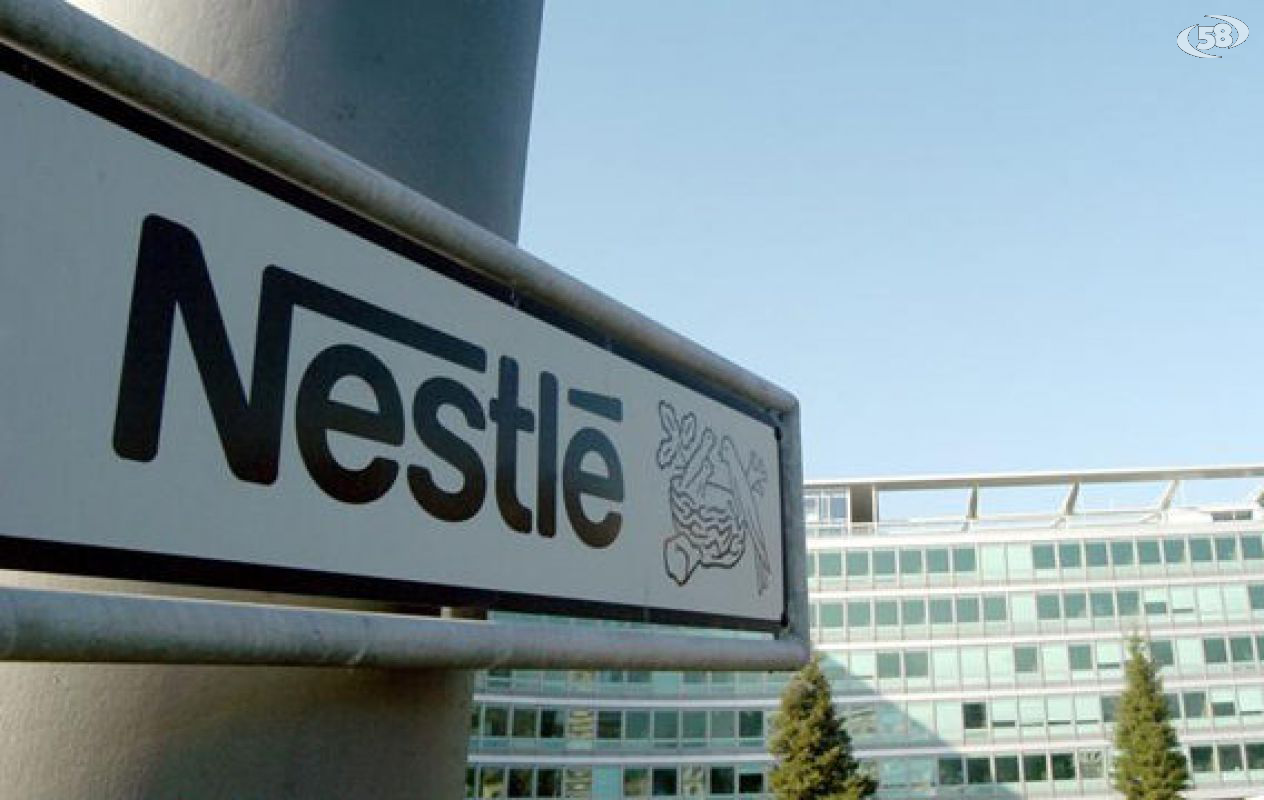 nestle nestle