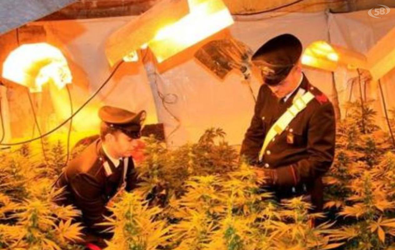 droga sequestro carabinieri droga sequestro carabinieri