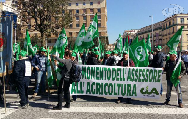 Agricoltori campani in piazza: la Regione ci ascolti /VIDEO