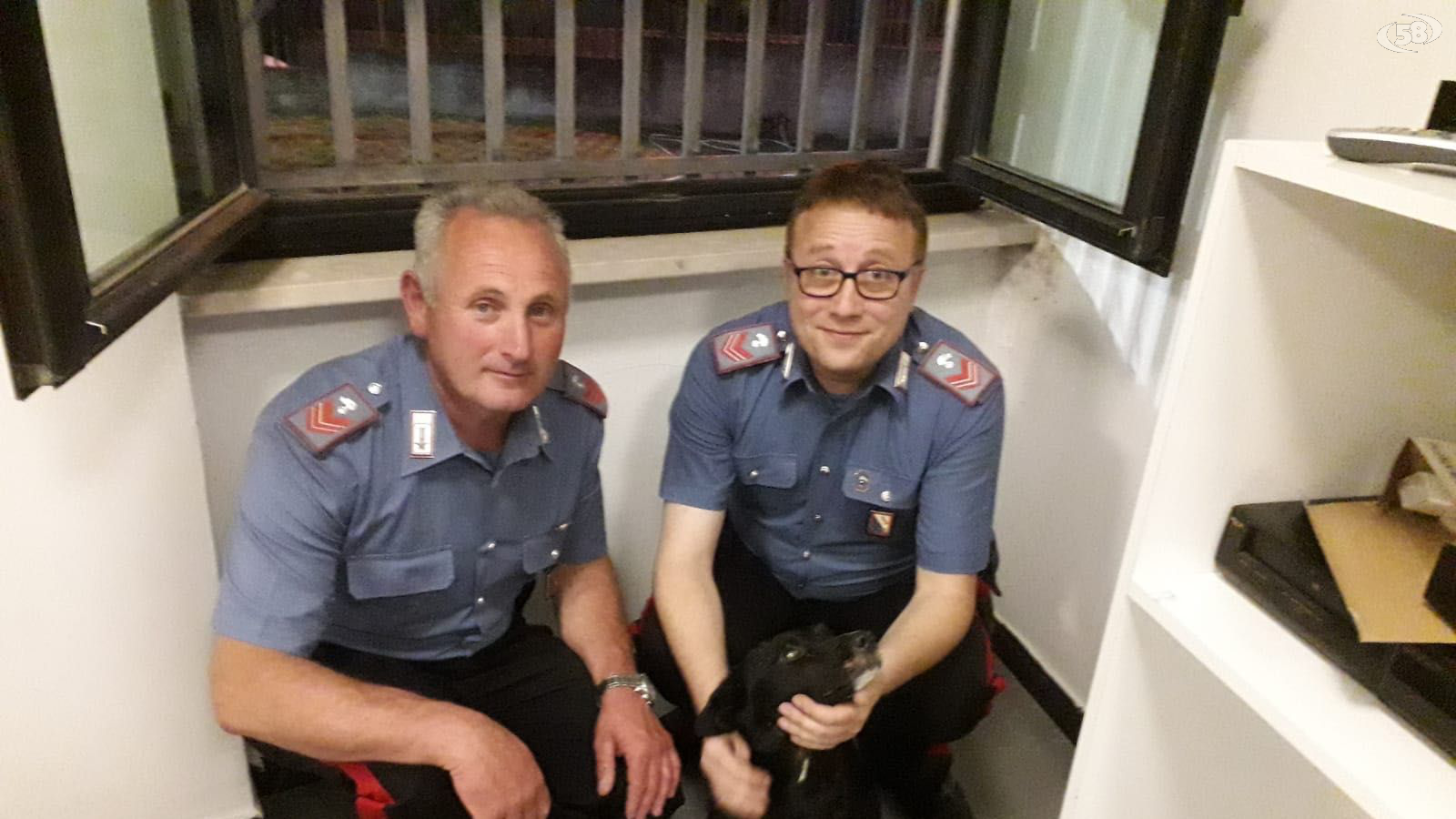 carabinieri salvano cane