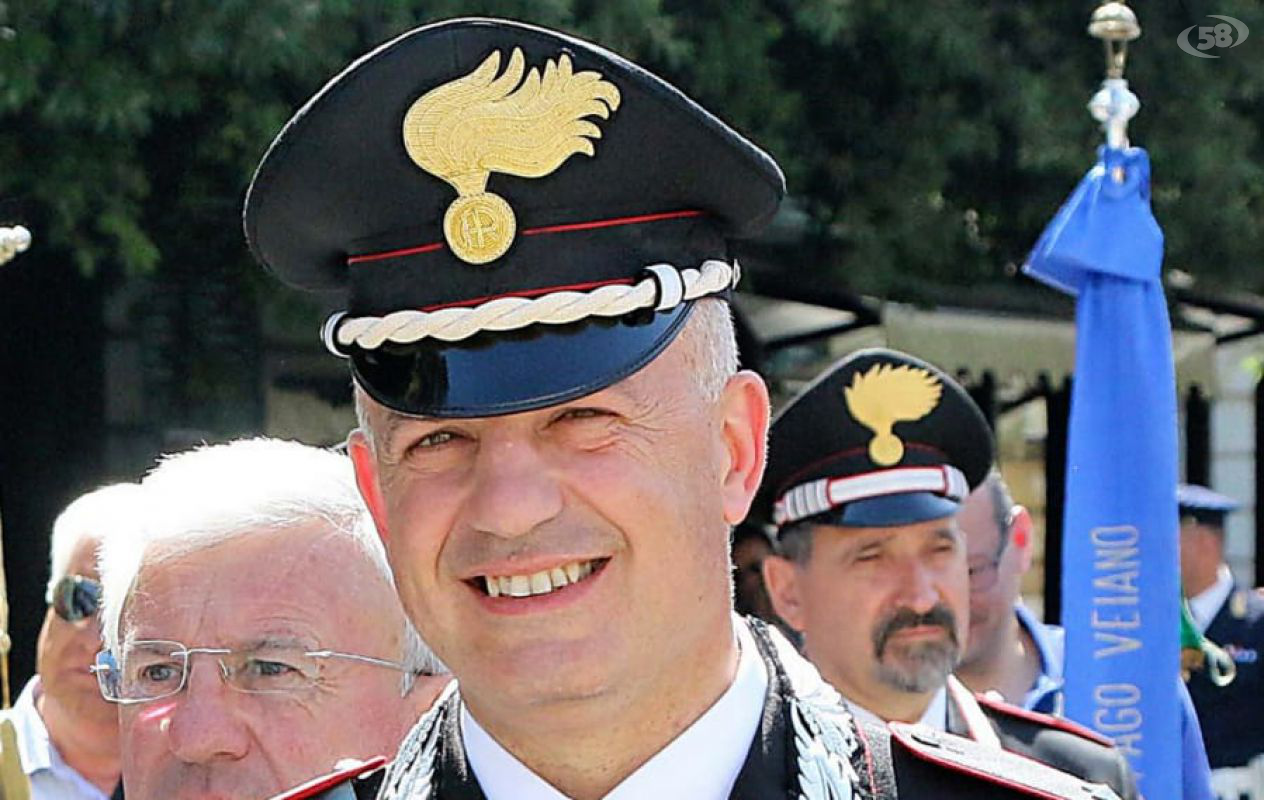 d'amico d'amico