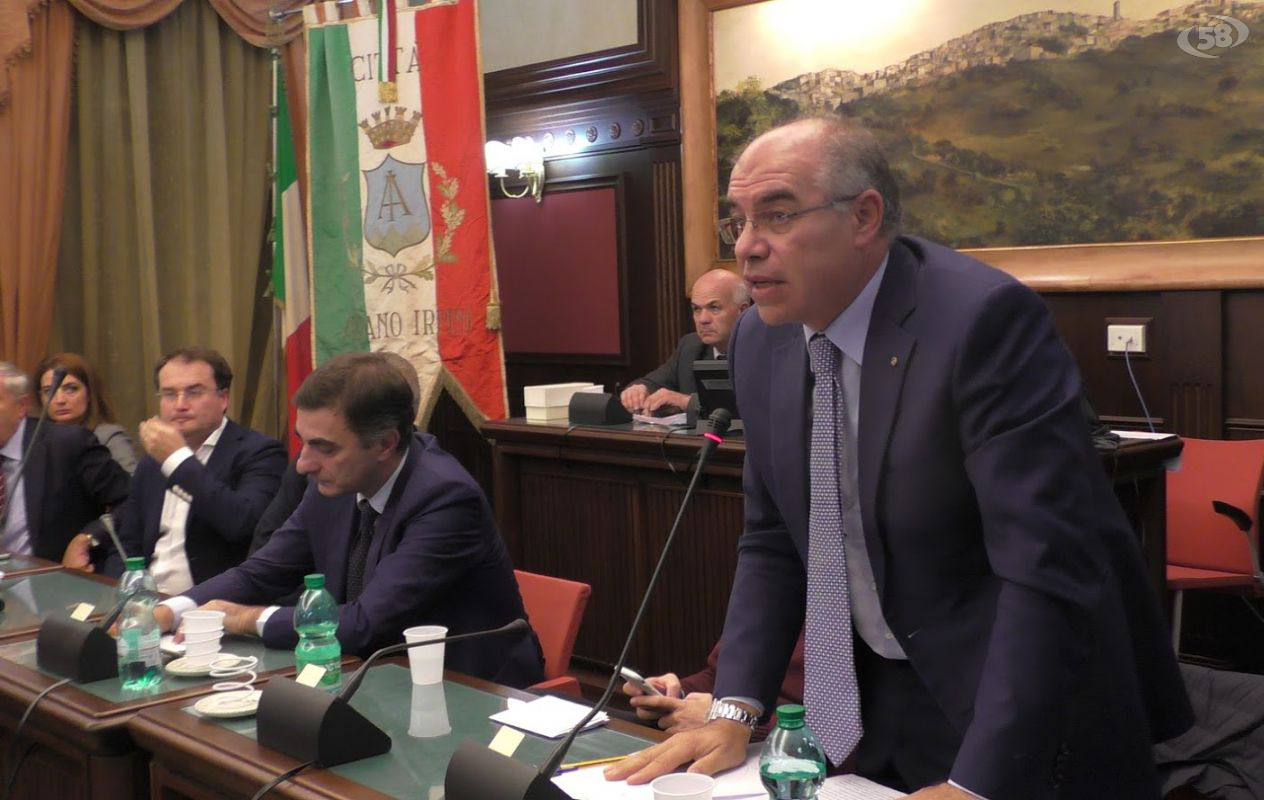 pino bruno 1 pino bruno 1
