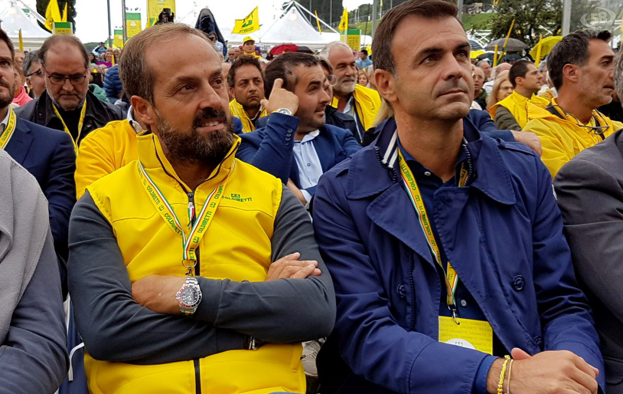 masiello prandini masiello prandini