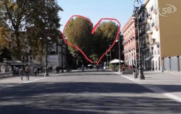 Ciampi risponde a Sala con una foto dove i platani formano un cuore