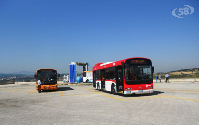  L’Azienda Mobilità Ufitana arricchisce il proprio parco mezzi con l’acquisto di un autobus