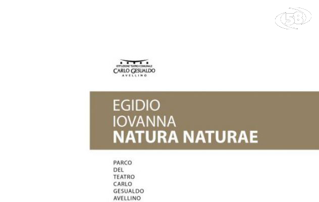 “Natura Naturae”, le sculture di Iovanna e Rubicco al Parco del Gesualdo 