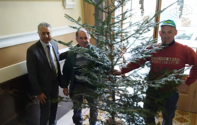 La Comunità dell'Ufita dona un albero alla scuola di Sturno: sarà il simbolo del no al bullismo 