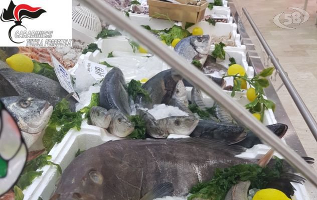 Maxi sequestro di pesce, formaggi, panettoni e castagne: 20mila euro di sanzioni