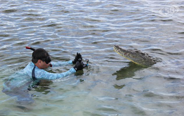 Bartolomeo Bove, sott'acqua con squali e coccodrilli: ''Riprendo le meraviglie della natura''