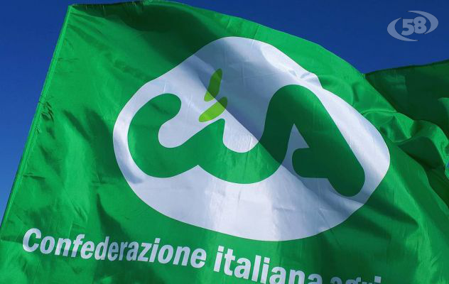 Cia Avellino, Granaio Italia: “Importante strumento di tutela della cerealicoltura  made in Italy”