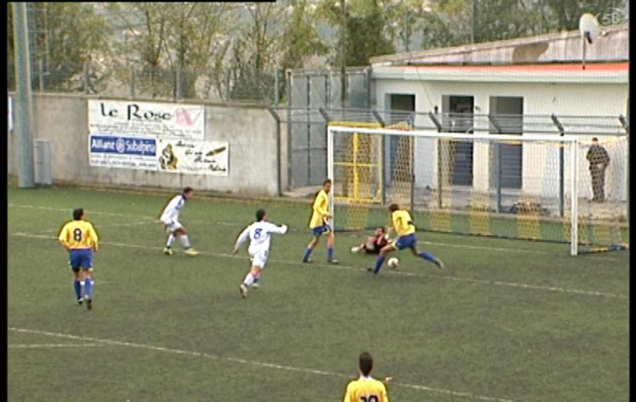 Vis ariano Vis ariano