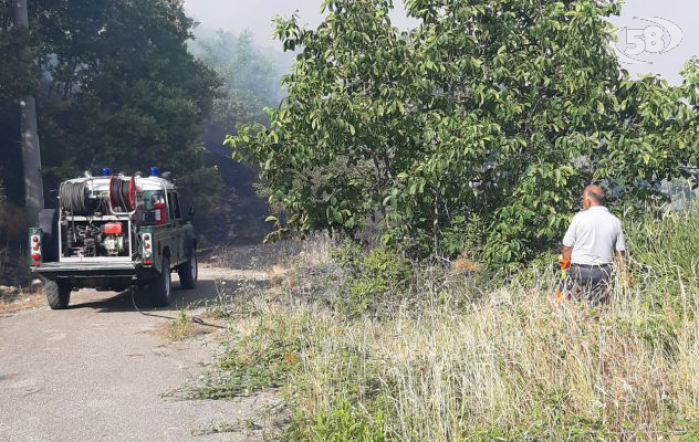 Vasto incendio, 7 ore per domare le fiamme: distrutti 10 ettari di bosco