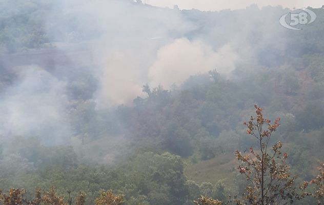 Bruciano i boschi, altri due giorni per domare il fuoco 