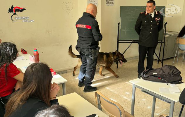 “Neo” il cane carabiniere protagonista di una giornata con gli studenti dell’Istituto Comprensivo “F. De Sanctis”
