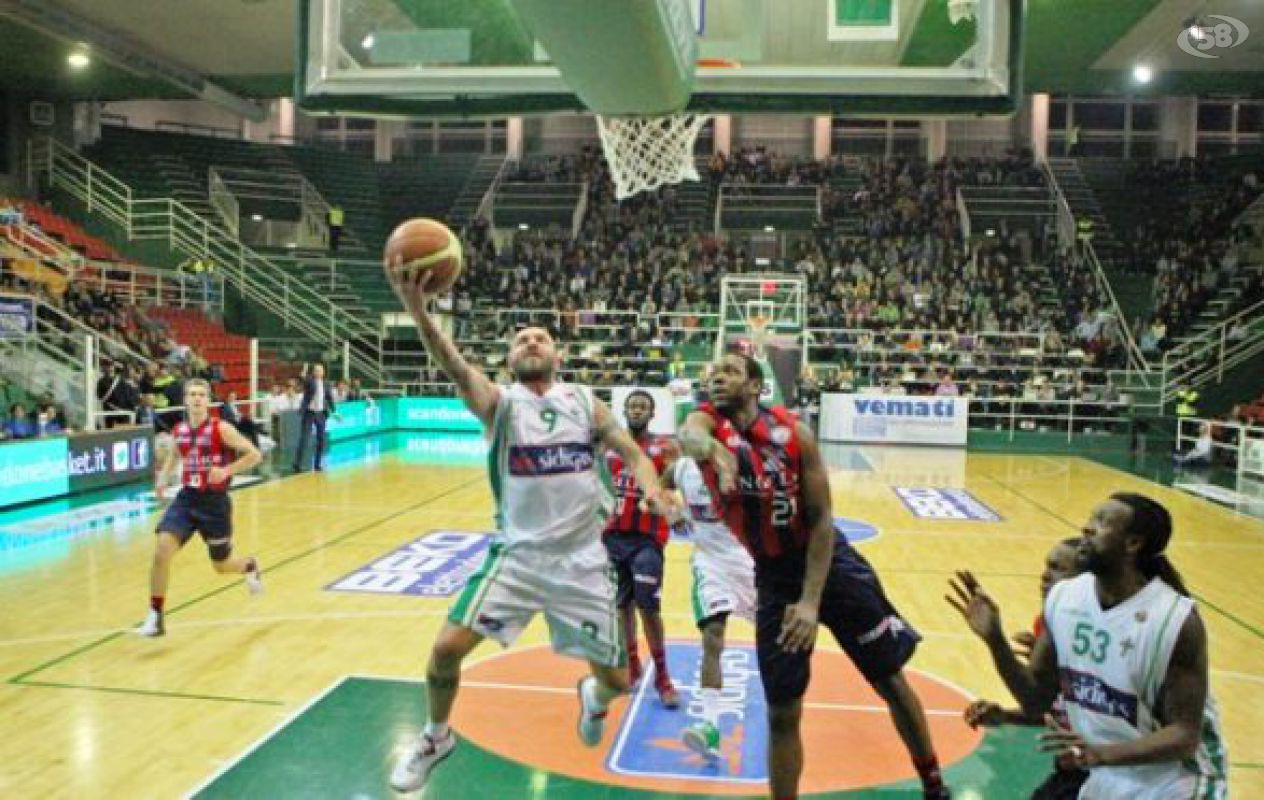 scandone basket scandone basket
