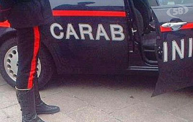 Carabinieri, denunce e furti sventati duranti il week end