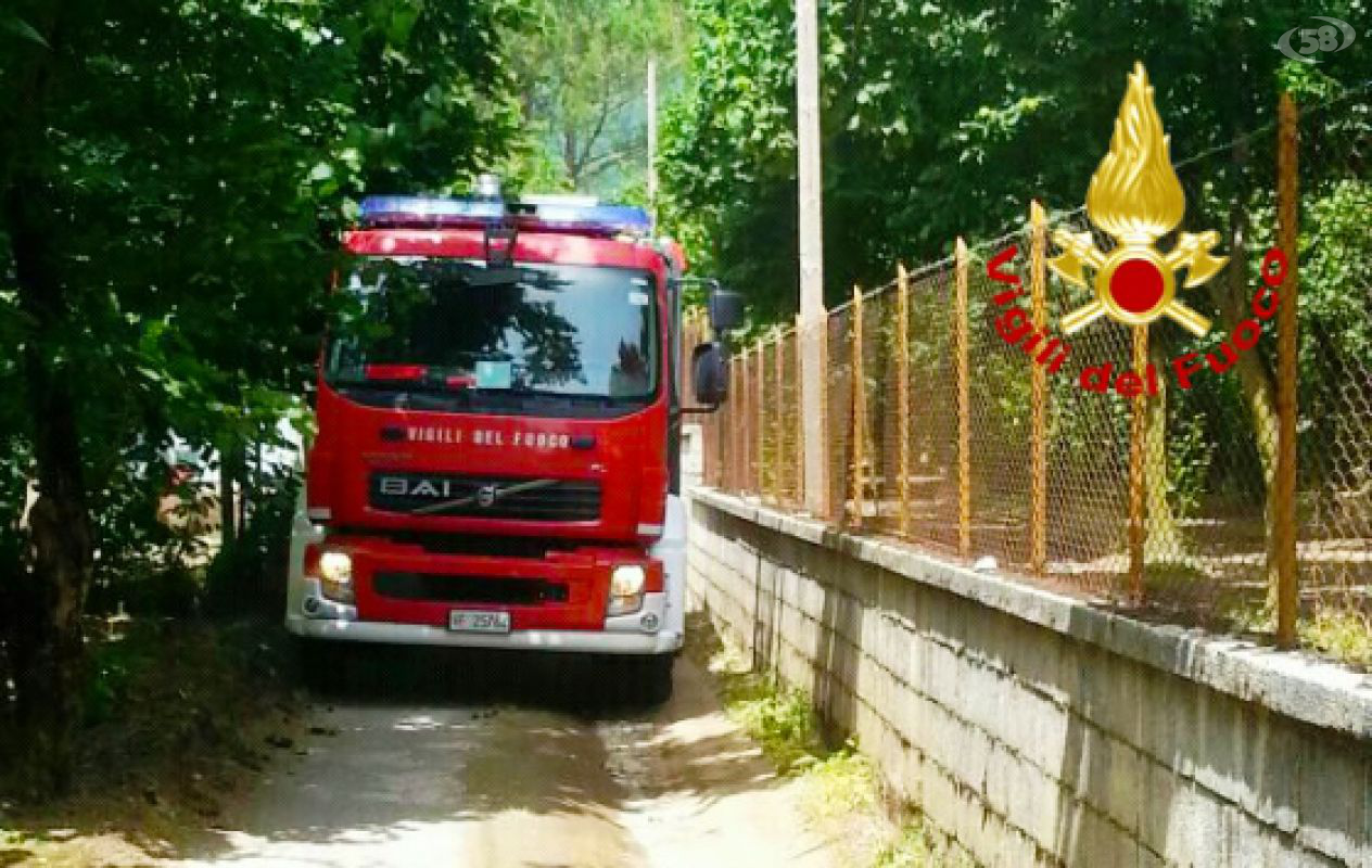 Vigili del fuoco Vigili del fuoco