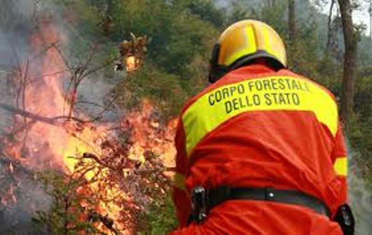 incendio forestale incendio forestale