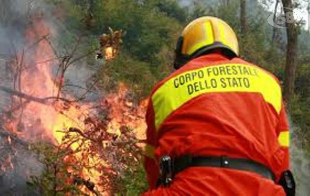 Incendi boschivi, la Campania resta la più colpita