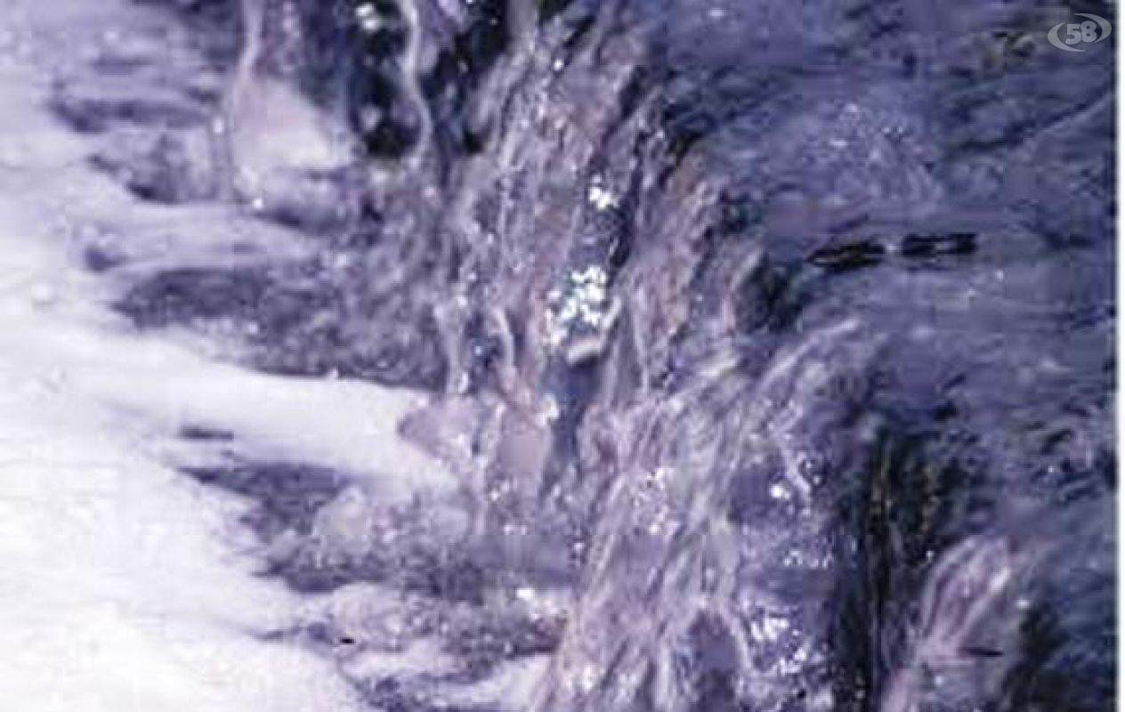 acqua acqua