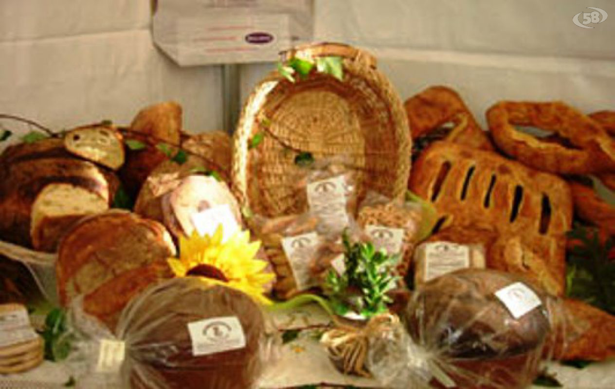 pane montecalvo pane montecalvo