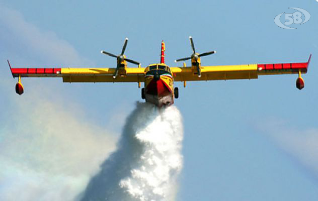 Incendio di vaste proporzioni a Taurasi: aerei antincendio a lavoro