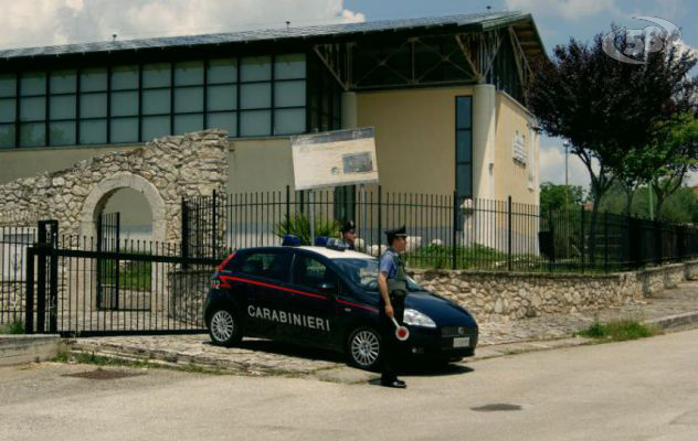 Mirabella, disoccupato sorpreso a tagliare alberi in un terreno privato. Denunciato