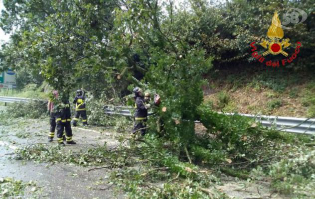 Avellino: oltre 40 interventi dei vigili del fuoco per la distruttiva grandinata