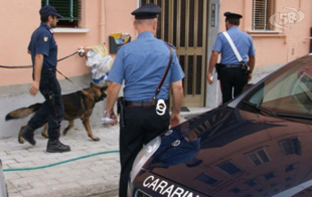 Piantagione nel giardino e marijuana nel sottotetto, 45enne di Taurasi nei guai