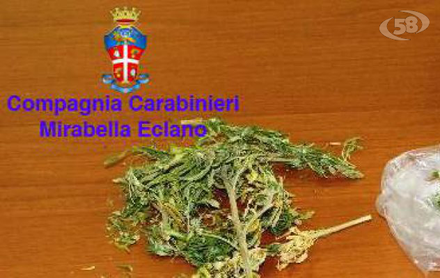 Fontanarosa, piantagione di marijuana in casa: 36enne nei guai