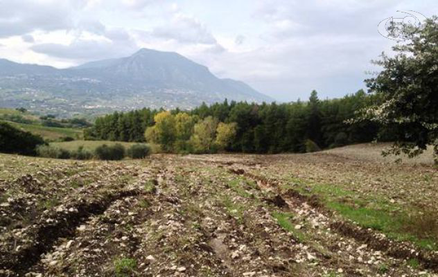 Alluvione nel Sannio, Masiello (Coldiretti): "Si faccia ordine negli interventi"