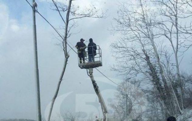 Ariano, disagi per il maltempo: albero pericolante lungo la strada che collega la Stazione al Tricolle