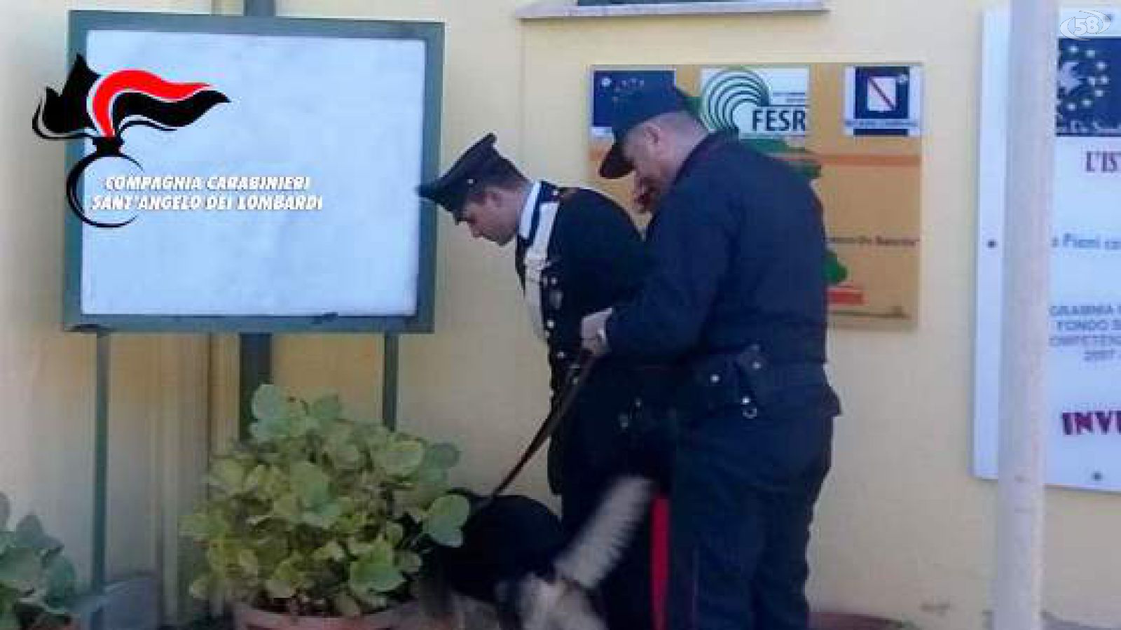 carabinieri cani antidroga
