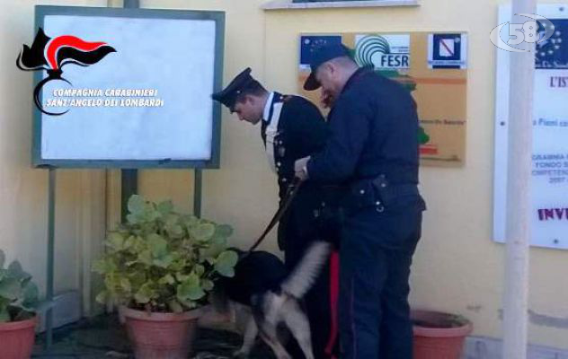 Alta Irpinia, blitz dei Carabinieri con cani antidroga. Denunciato 40enne