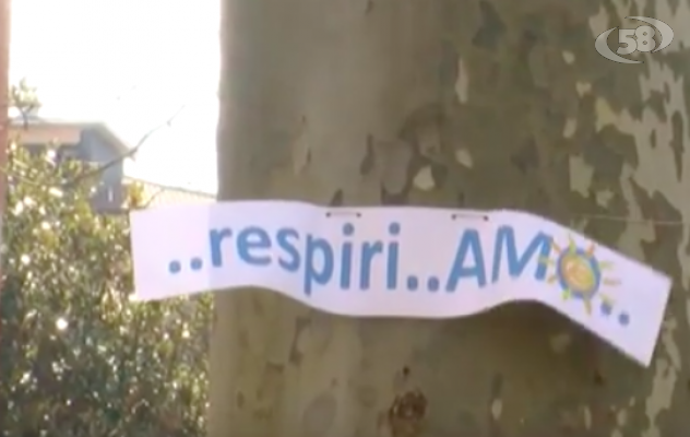 Avellino perde i suoi storici platani, la protesta dei residenti: ''Respiri...Amo''