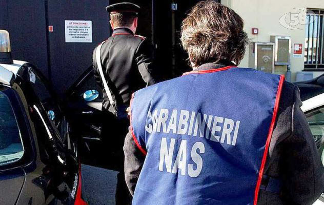 Grottaminarda, blitz dei Nas negli esercizi pubblici