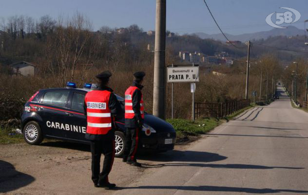 Rubano e danneggiano legna in un fondo privato: denunciati