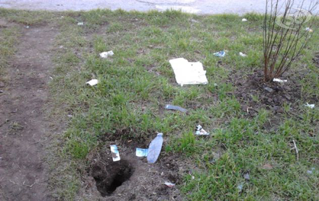 Avellino, torna Guerrilla Gardening: ''Ripulire via Piave''