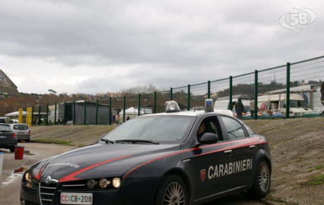 Blitz dei carabinieri, allevatore di cavalli nei guai