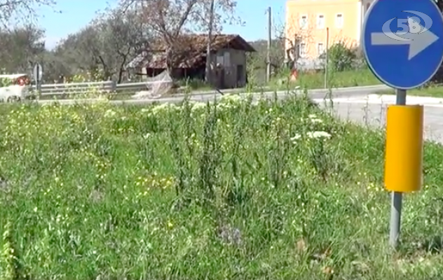 Ariano, erbacce e scarsa visibilità: la rotonda abbandonata / VIDEO